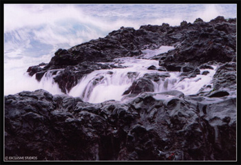 ESF23
